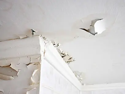 Expert Water Damage Restoration