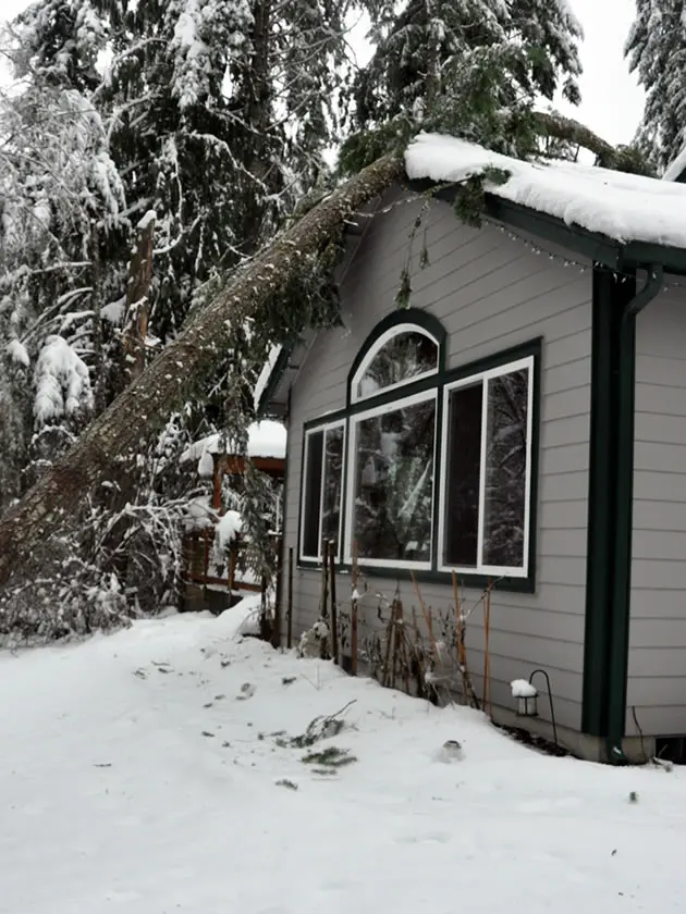 Rhode Island Roofing & Insurance Repair Experts