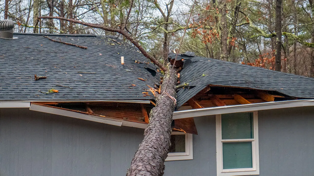 Rhode Island Roofing & Insurance Repair Experts