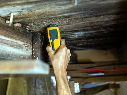 Mold Source Identification & Air Quality Testing​