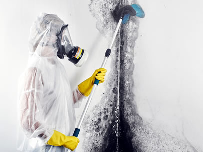 Certified Mold Removal Protocols​