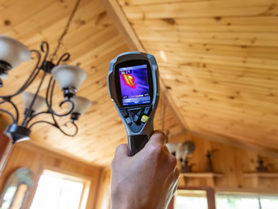 Moisture & Heat Mapping​