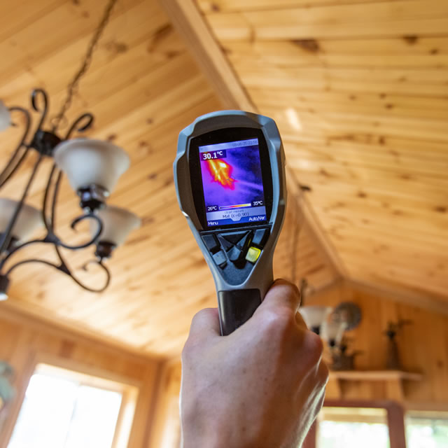 Certified Mold Professionals